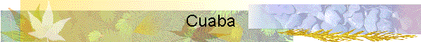 Cuaba