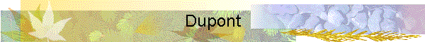 Dupont