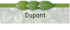 Dupont