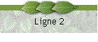Ligne 2