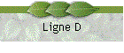 Ligne D