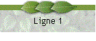 Ligne 1