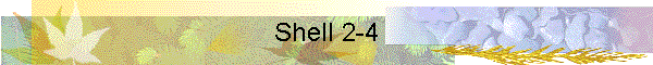 Shell 2-4