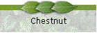 Chestnut