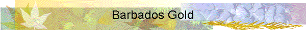 Barbados Gold