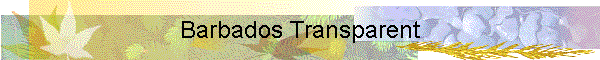 Barbados Transparent
