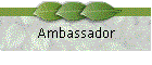 Ambassador