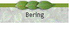 Bering