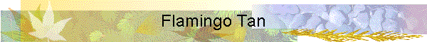 Flamingo Tan