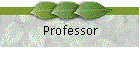 Professor
