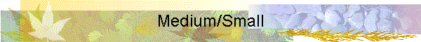 Medium/Small