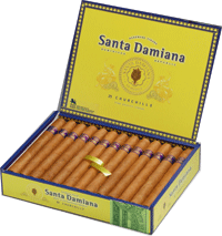 Santa Damiana Churchills 25's
