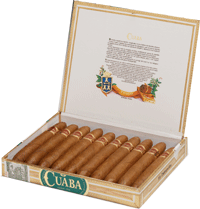 Cuaba Distinguidos 10's