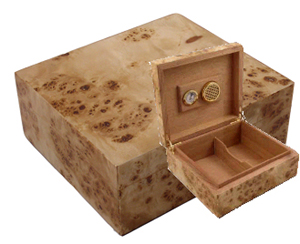 Humidor Camphor Burl HU3
